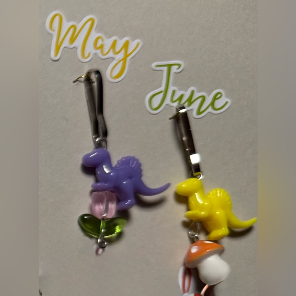 🧚🏻‍♀️ Zipper Pulls Year of Dinosaurs Set 12 Months Dino Charm for Backpacks